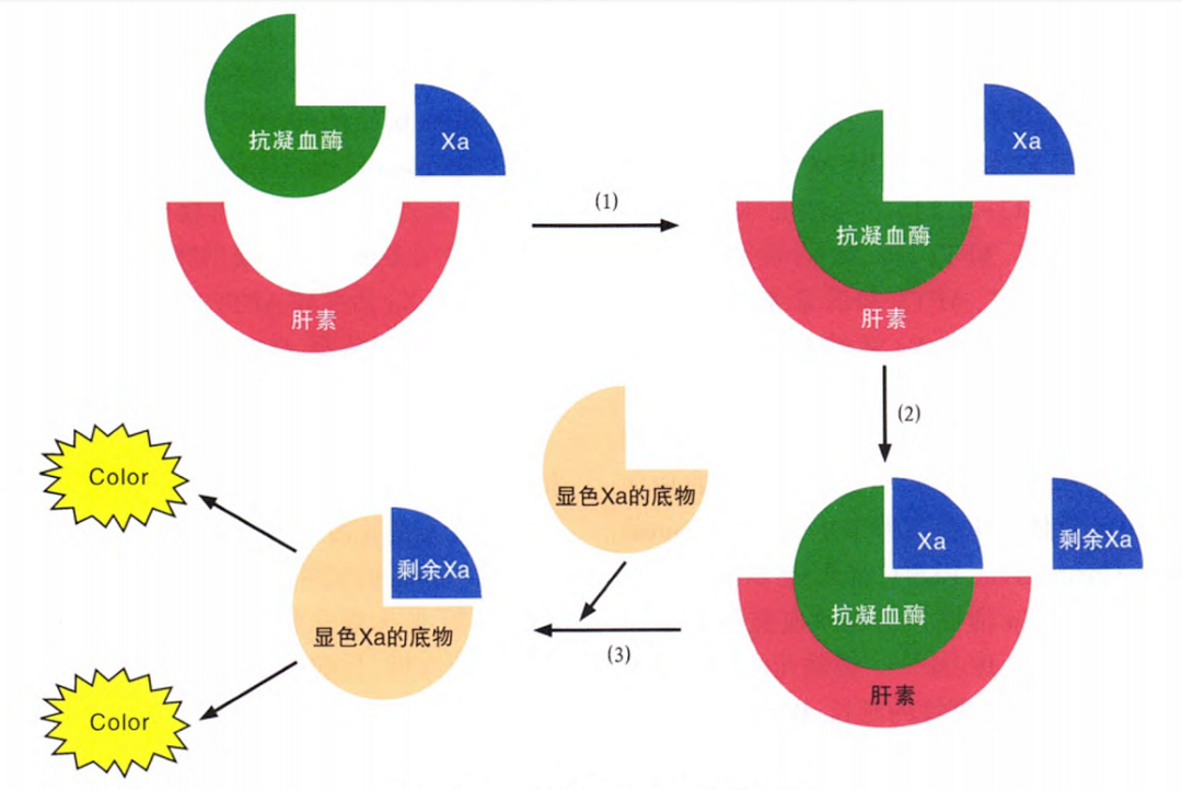 国产抗Xa质量如何？多中心临床研究来告诉你！