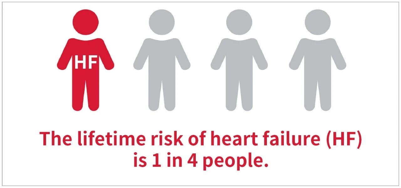 新品上市 | 心衰诊断双保障——聚焦心衰精准诊断，365体育从未止步！